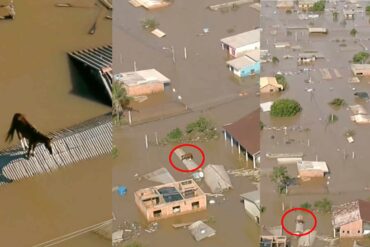 Den store oversvømmelse i Brasilien bliver ved
