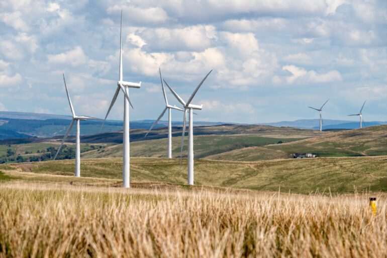 Flere og flere mennesker begynder at indse, at "grøn energi" er skadelig for miljøet