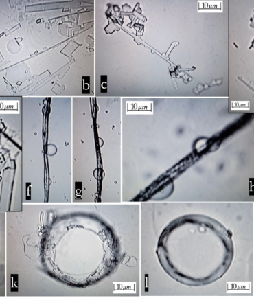 Selvsamlende nanostrukturer i Covid-vaccinen « Snaphanen.dk