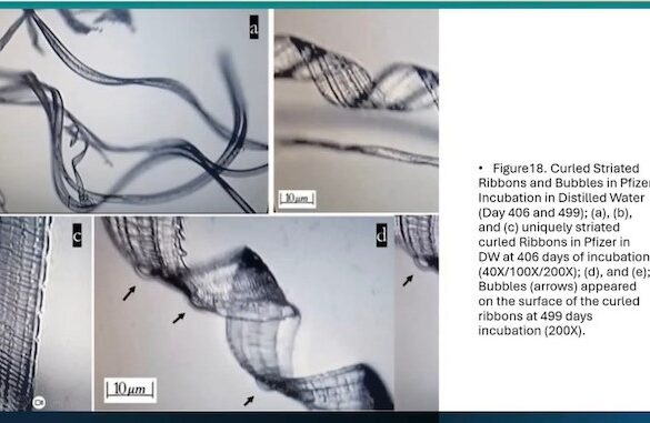 NanoStrukturer