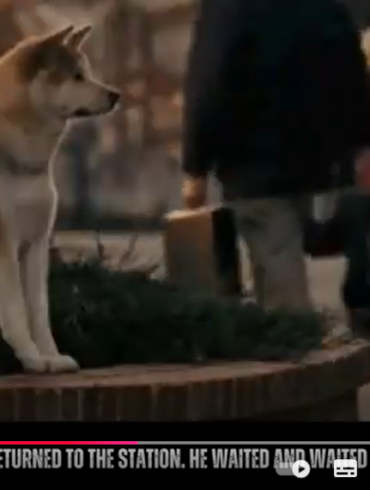 Den Korte Avis | Hachikos ejer døde, men hunden blev ved med at vente på ham foran en togstation – nu er der rejst en statue af hunden som symbol på loyalitet