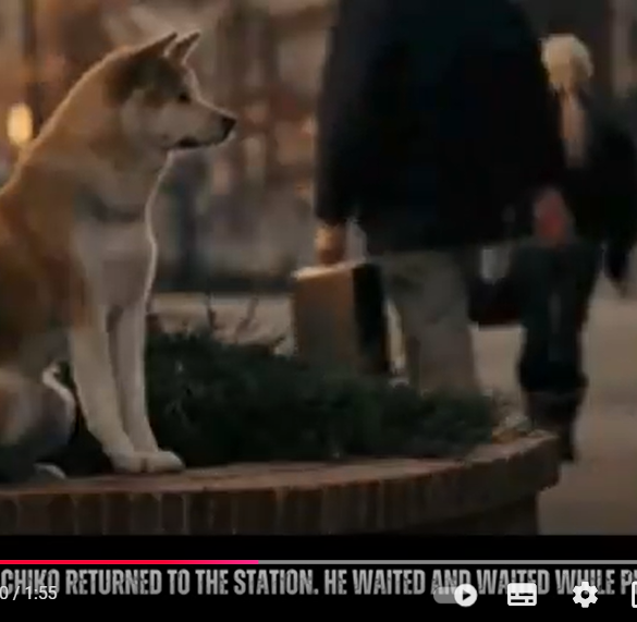 Den Korte Avis | Hachikos ejer døde, men hunden blev ved med at vente på ham foran en togstation – nu er der rejst en statue af hunden som symbol på loyalitet