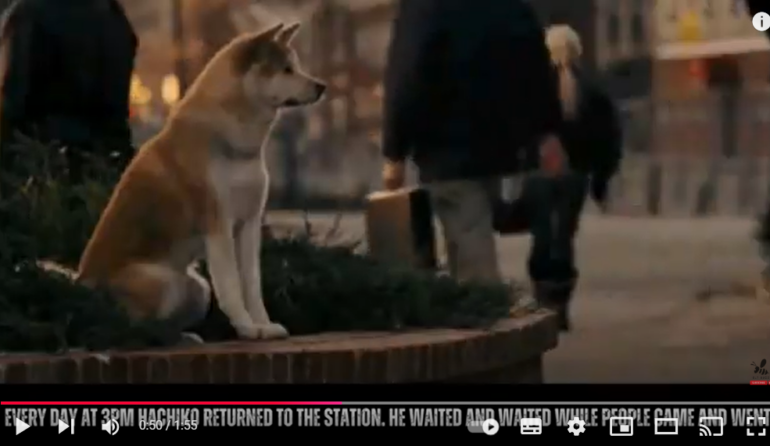 Den Korte Avis | Hachikos ejer døde, men hunden blev ved med at vente på ham foran en togstation – nu er der rejst en statue af hunden som symbol på loyalitet