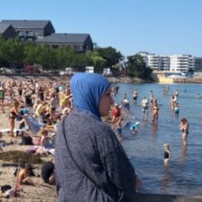 Den Korte Avis | Og her står vi så ved udgangen af 2024 med en total fejlslagen integration af islamiske migranter