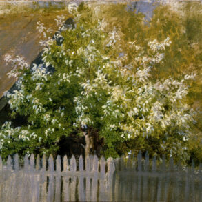 Fuglekirsebær - Prunus avium (1880).