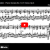 Mellemspil – Skrjabin: Sonate nr. 1 i f-moll (1895),