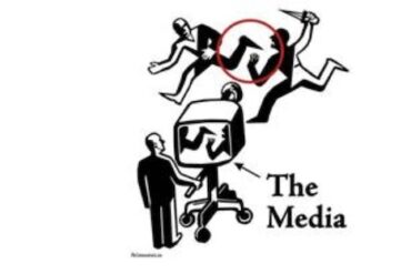 TheMedia