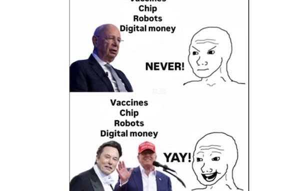 VaxChips