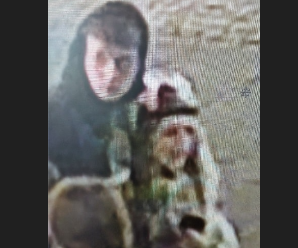 Den Korte Avis | Politiet efterlyser mand og kvinde bag brutalt overfald – manden sparkede ofret i hovedet, og kvinden sparkede ham på kroppen