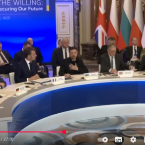 Den Korte Avis | Europæiske ledere og Trump går sammen og kræver øjeblikkelig våbenhvile – presset Putin erklærer sig nu parat til at mødes med Zelenskyj