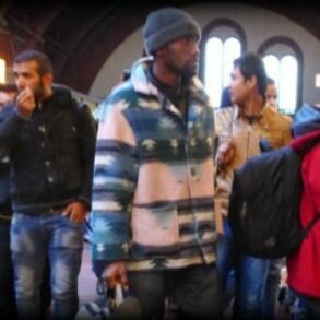 Den Korte Avis | Migranter fra fjorten forskellige lande har i år søgt asyl i Danmark – disse grupper topper