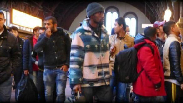 Den Korte Avis | Migranter fra fjorten forskellige lande har i år søgt asyl i Danmark – disse grupper topper