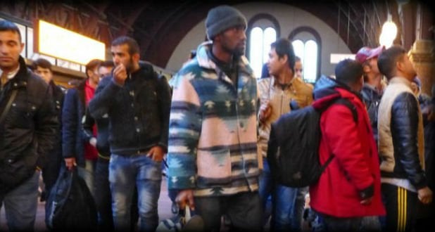 Den Korte Avis | Migranter fra fjorten forskellige lande har i år søgt asyl i Danmark – disse grupper topper