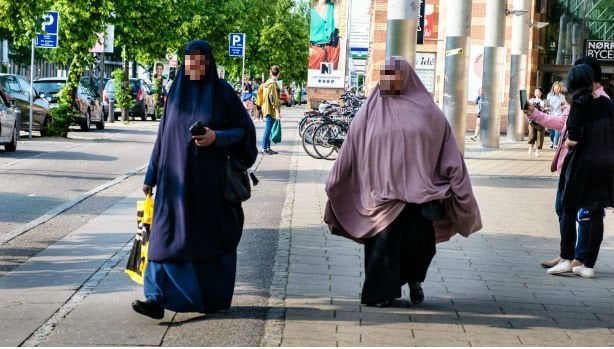 Den Korte Avis | Ny CEPOS-analyse: Næsten hver femte ikke-vestlige indvandrer i Helsingør, Odense og Aarhus er på førtidspension – se listen over kommunerne her