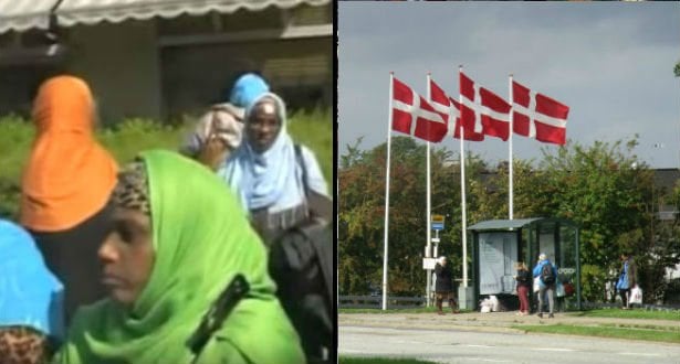 Den Korte Avis | Somalisk kvinde kræver socialrådgiver fyret og økonomisk erstatning – giver kommunen skylden for indespærring i somaliske opdragelseslejre