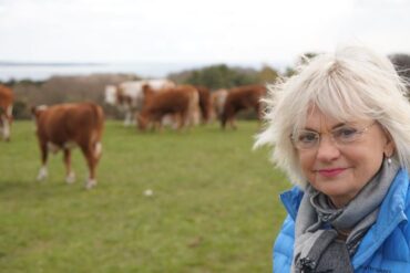 Den Korte Avis | To ansatte i Naturstyrelsen får betinget fængsel for vanrøgt af dyr i naturpark
