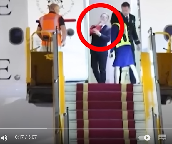 Den Korte Avis | Video gået viral: Blev Macron slået af sin kone på vej ud af flyet i Hanoi?