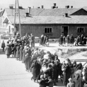 Fra Auschwitz-albumet. De frasorterte på vei til gasskammer og krematorium, 27. mai 1944.