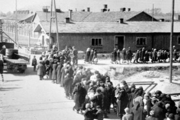Fra Auschwitz-albumet. De frasorterte på vei til gasskammer og krematorium, 27. mai 1944.