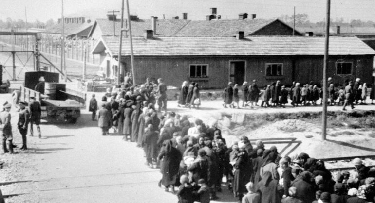Fra Auschwitz-albumet. De frasorterte på vei til gasskammer og krematorium, 27. mai 1944.