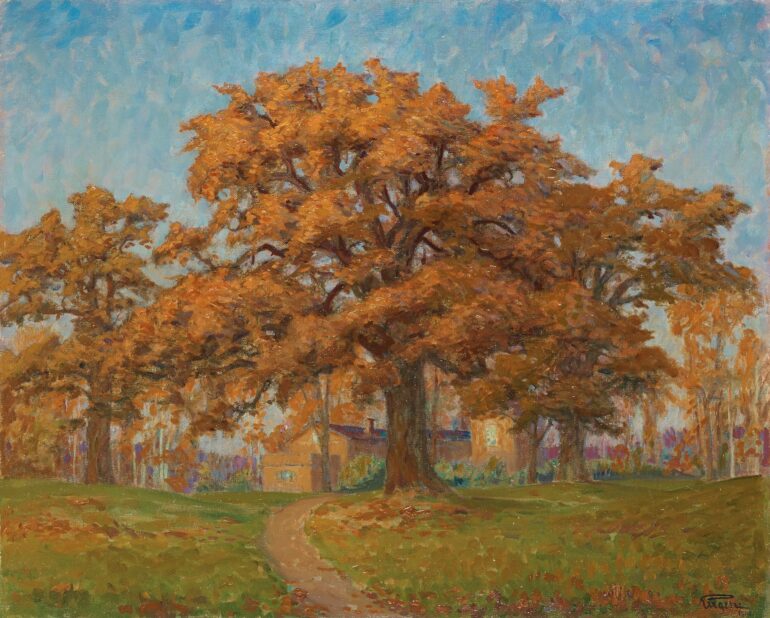 Motiv från Djurgården (1906).