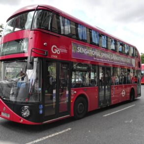 To drenge tilstår at have myrdet 14-årig i brutalt machete-angreb på London-bus