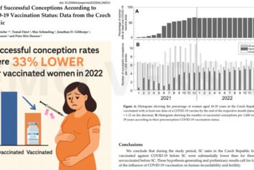 “mRNA Likely Fueling a Global Fertility Collapse” « Snaphanen.dk