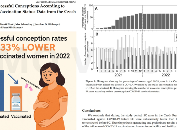“mRNA Likely Fueling a Global Fertility Collapse” « Snaphanen.dk