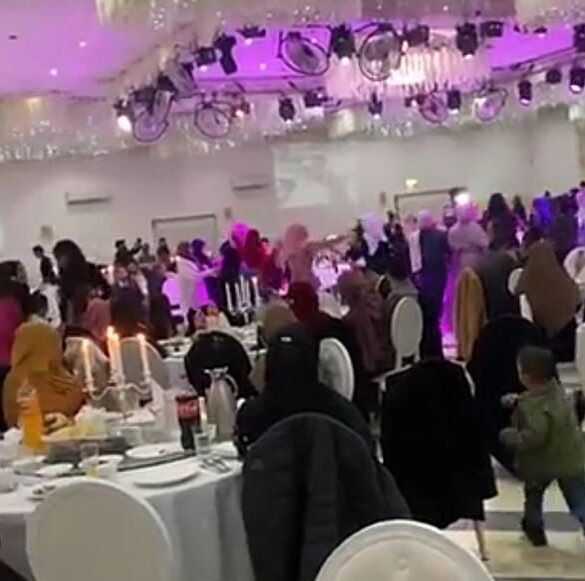 Den Korte Avis | Arabiske bryllupper med dyttende bilkorteger ødelægger naboernes nattesøvn – velkommen til det nye Danmark