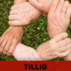 Myten om det danske tillidssamfund (2025)