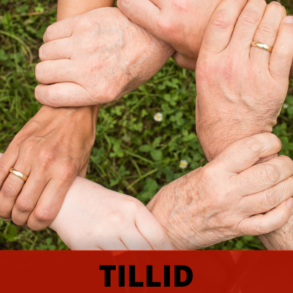 Myten om det danske tillidssamfund (2025)