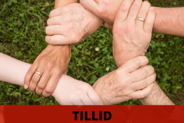 Myten om det danske tillidssamfund (2025)