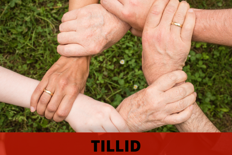 Myten om det danske tillidssamfund (2025)