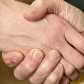Den Korte Avis | I Danmark giver vi hånd til hinanden – det skal muslimer bøje sig for