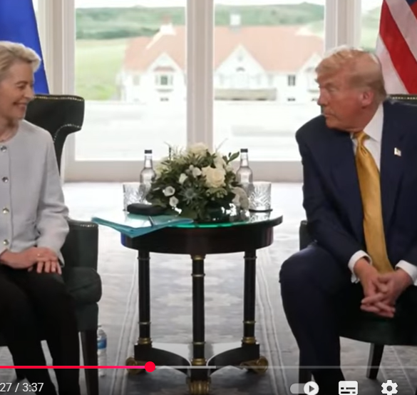 Den Korte Avis | Kritikken af handelsaftalen mellem EU og USA