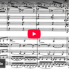 Mellemspil – Brahms: Klarinettkvintett i h-moll, op.115 (1891).