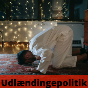 Myten om Danmarks stramme udlændingepolitik (2025)