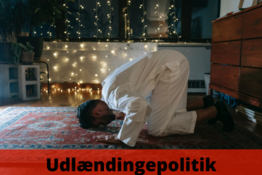 Myten om Danmarks stramme udlændingepolitik (2025)