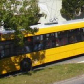 Den Korte Avis | Danskerne lever livet farligt: Fire unge indvandretyper bag brutalt overfald i bus – tragisk forventeligt, lyder det fra professor