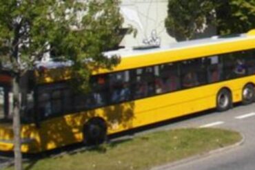 Den Korte Avis | Danskerne lever livet farligt: Fire unge indvandretyper bag brutalt overfald i bus – tragisk forventeligt, lyder det fra professor