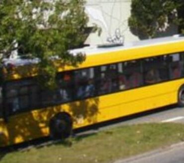 Den Korte Avis | Danskerne lever livet farligt: Fire unge indvandretyper bag brutalt overfald i bus – tragisk forventeligt, lyder det fra professor