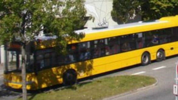 Den Korte Avis | Danskerne lever livet farligt: Fire unge indvandretyper bag brutalt overfald i bus – tragisk forventeligt, lyder det fra professor