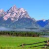 Den Korte Avis | Hvad vil vi høre fra Jackson Hole om Trumps økonomiske politik