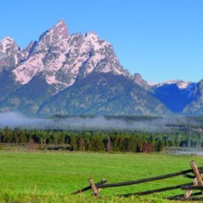 Den Korte Avis | Hvad vil vi høre fra Jackson Hole om Trumps økonomiske politik