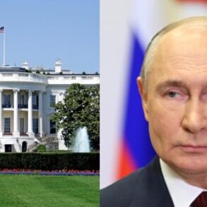 Den Korte Avis | I dag støder Trump sammen med Zelenskyj og europæiske ledere om holdningen til Putin – Vestens fremtid står på spil