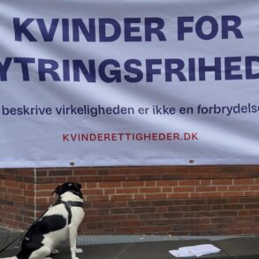 Den Korte Avis | Ved retten i Lyngby: Ensom mand i kvindetøj blev mødt af demonstrerende feminister – vil have rettens ord for at blive omtalt som kvinde