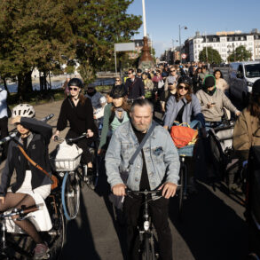Den gigantiske kløft mellem politikere og vælgere er nu dokumenteret