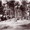 Co. E, 21st Michigan Infantry. Sherman's Volunteers (1861-65).