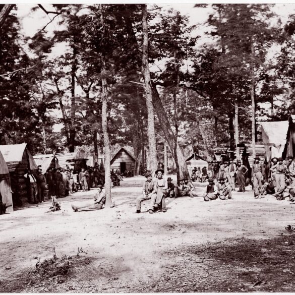 Co. E, 21st Michigan Infantry. Sherman's Volunteers (1861-65).