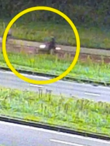 Den Korte Avis | 17-årige Lisa blev bange, da hun cyklede hjem, med god grund – nu er hun død og asylansøger er anholdt